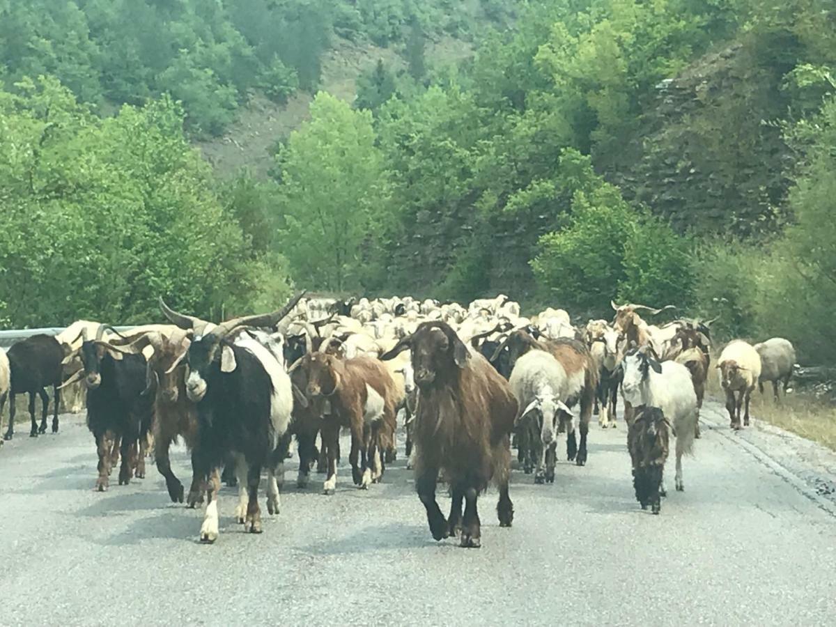 Mousafir Ontas Hotel Kapesovo Luaran gambar